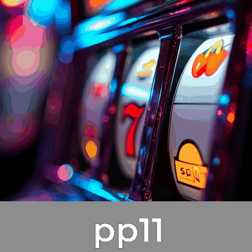 pp11: Onde a Segurança e o Profissionalismo Se Encontram