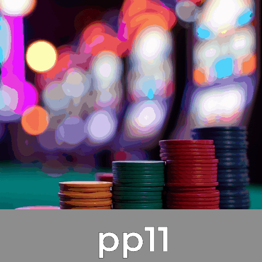 Experimente o acesso premium seguro no pp11